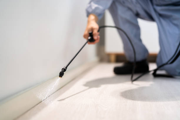 Licensed Termite Control service in Newport, NC - Nex Pest Control