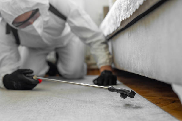 Professional Termite Control technician working in Newport, NC