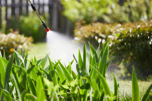 24/7 Emergency Termite Control experts in Newport, NC