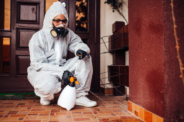 Reliable Termite Control contractor in Newport, NC by Nex Pest Control