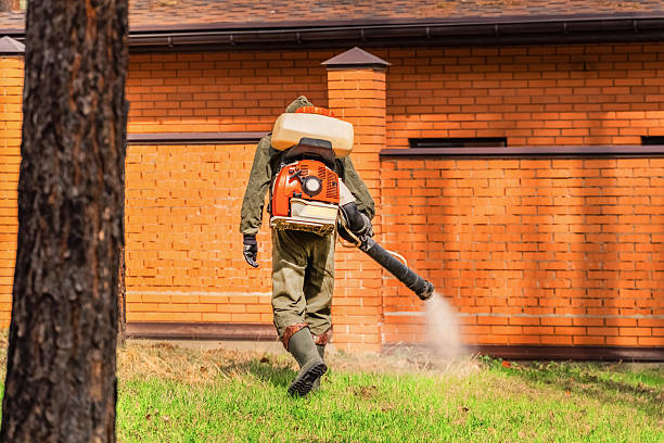 Top rated local Termite Control specialists in Newport, NC